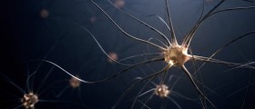 What Causes Phrenic Nerve Damage And How To Treat It?