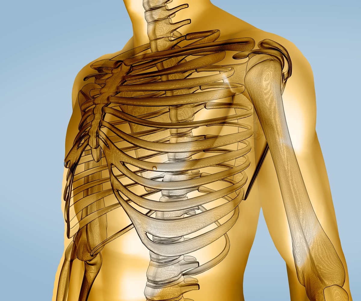 What Could Pain And Numbness Under Your Rib Cage Mean ...