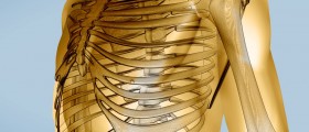 What Could Pain And Numbness Under Your Rib Cage Mean?