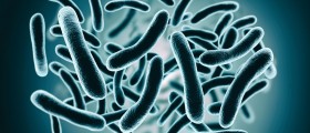 What Is The Treatment For Clostridium Difficile?
