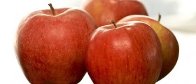 Top 10 Foods You Should Always Buy Organic