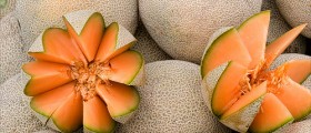 Top 10 Foods That Help Your Body Absorb Iron From Diet