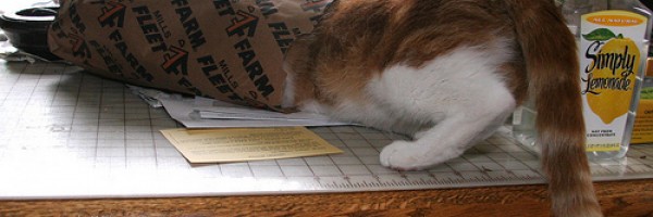 Top 10 Pet Behavior Problems You Should Not Ignore
