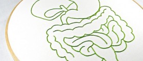 A Journey Through The Digestive System: From Your Plate To A Toilet