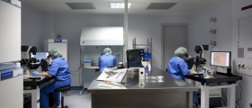 Most Important Medical Discoveries