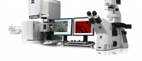 Invisible World: Of Bacteria And Viruses