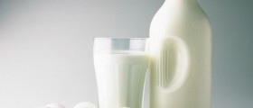 10 Most Common Foods In American Households
