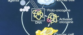 DNA Damage And Cancer