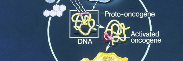 DNA Damage And Cancer
