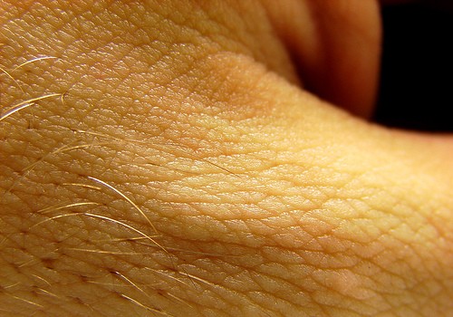 Slideshow picture
