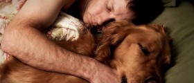 The Top Hypoallergenic Pets For People With Allergies