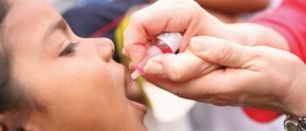 Nature's Revenge: Ten Diseases Of Humans That Came In From The Wild