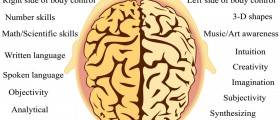 Solving Brain Puzzles : Left And Right Brain Functions