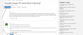 How To Reply To A Post On Discussion Boards