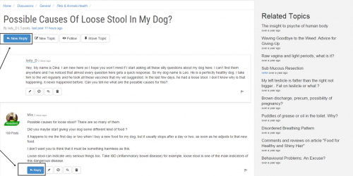 How To Reply To A Post On Discussion Boards