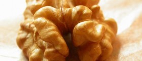 Top 10 Yummy Health Boosters - Enjoy Your Meal!