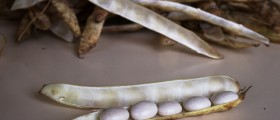 Top 10 Potassium-Rich Foods You'll Love