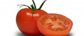 Low Carb Diet Recipes