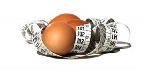 Egg Diet For Weight Loss