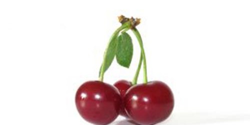 Top 10 Natural Painkillers