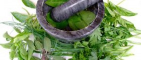 Natural Antibiotics:  Foods that Work as Antibiotics