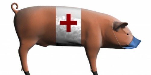 Swine Flu Symptoms: What People Need to Know