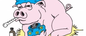 Swine Flu: Treatment and Prevention Vaccine