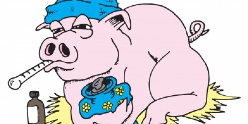 Swine Flu: Treatment and Prevention Vaccine