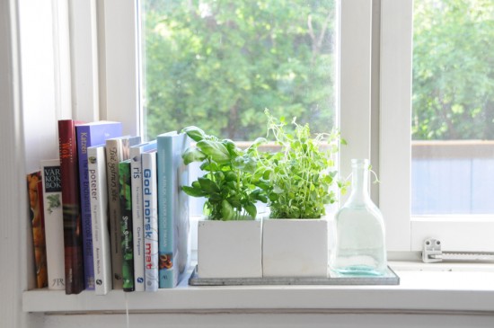 window-pot-herbs.jpg