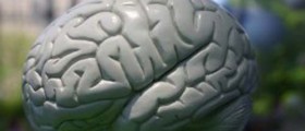 Vascular Dementia: Symptoms, Diagnosis and Treatment