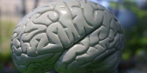 Vascular Dementia: Symptoms, Diagnosis and Treatment