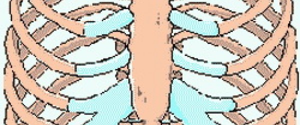 Costochondritis: Symptoms & Treatment | Musculoskeletal ...