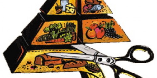 Low-carb diet fact sheet