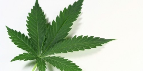 Addicted to Cannabis:  Marijuana Addiction Treatment