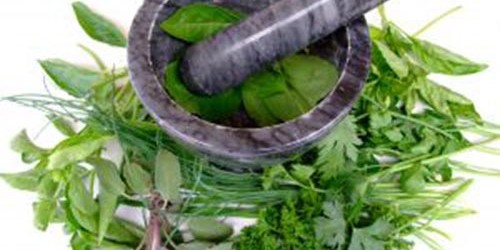 Herbal Treatment for Gastrointestinal Disorders