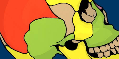 Craniosacral Therapy: Does It Really Work?