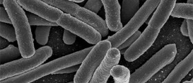 The Truth About the European E. coli Outbreak