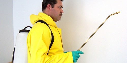 Food Allergies Linked To Pesticides In Tap Water