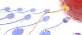How to Increase Sperm Count and Improve Sperm Quality Naturally