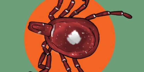 Do You Have A Beef With The Lone Star Tick? Tick Bite Causes Meat Allergy