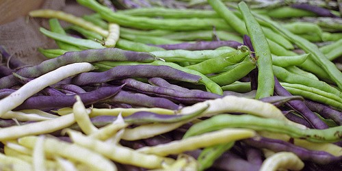 Foods that Cause Bloating