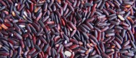 Black Rice -The New Superfood?
