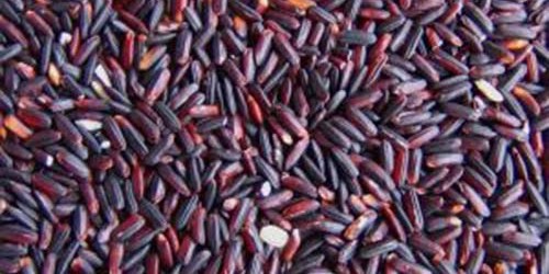 Black Rice -The New Superfood?