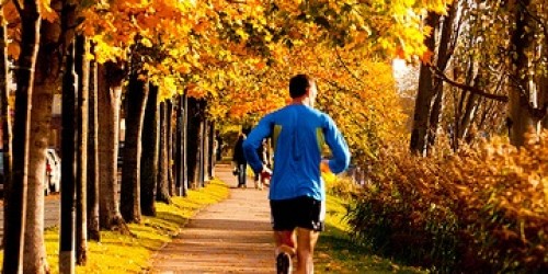 Why Your Exercise Routine Isn't Working Out for You