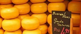 One More Reason to Eat Cheese: Probiotic Bacteria Helps Tackle Aging and Boosts Immune System