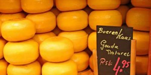 One More Reason to Eat Cheese: Probiotic Bacteria Helps Tackle Aging and Boosts Immune System
