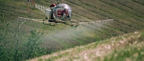 Could Glyphosate, Key Ingredient In Roundup Herbicide, Cause Infertility Or Cancer?