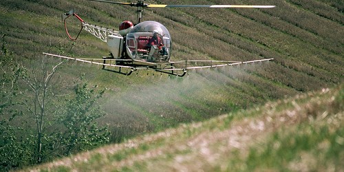 Could Glyphosate, Key Ingredient In Roundup Herbicide, Cause Infertility Or Cancer?