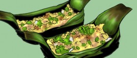 Are Bugs The New Food Craze? The Benefits Of Eating Insects, And Which Insects To Eat