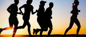 Facts and Myths About Cardio Training